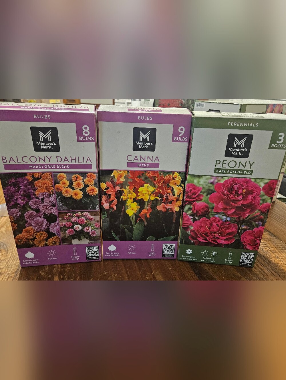 Dahlia, Canna, and Peony Bulbs